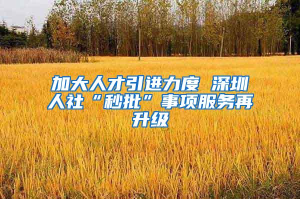 加大人才引进力度 深圳人社“秒批”事项服务再升级