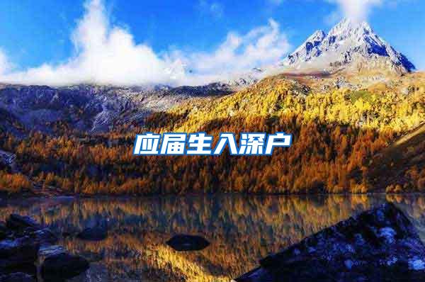 应届生入深户