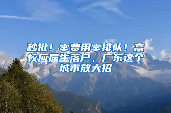 秒批！零费用零排队！高校应届生落户，广东这个城市放大招