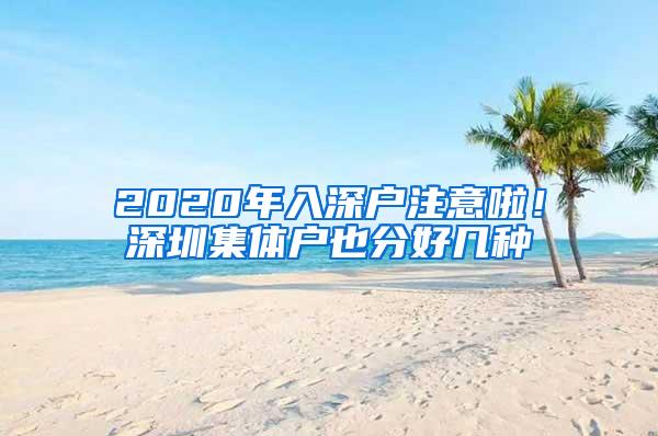 2020年入深户注意啦！深圳集体户也分好几种