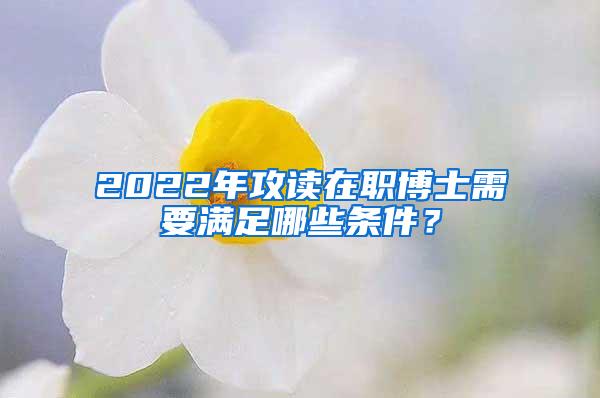 2022年攻读在职博士需要满足哪些条件？