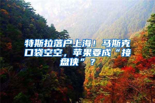 特斯拉落户上海！马斯克口袋空空，苹果要成“接盘侠”？