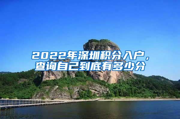 2022年深圳积分入户，查询自己到底有多少分