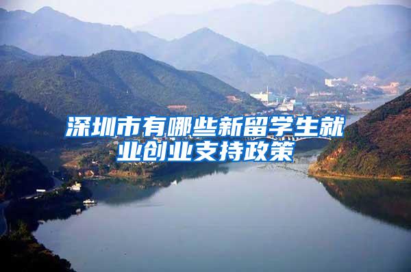 深圳市有哪些新留学生就业创业支持政策