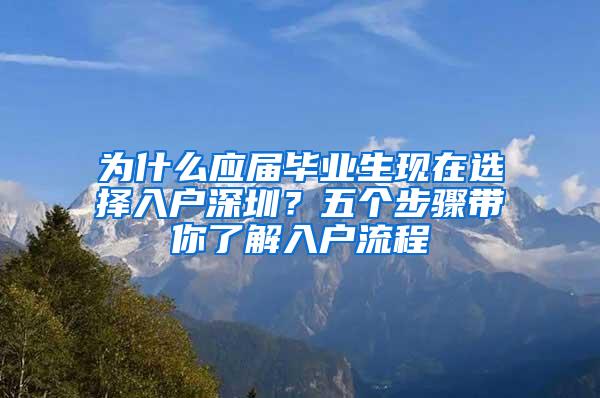 为什么应届毕业生现在选择入户深圳？五个步骤带你了解入户流程