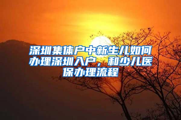 深圳集体户中新生儿如何办理深圳入户，和少儿医保办理流程