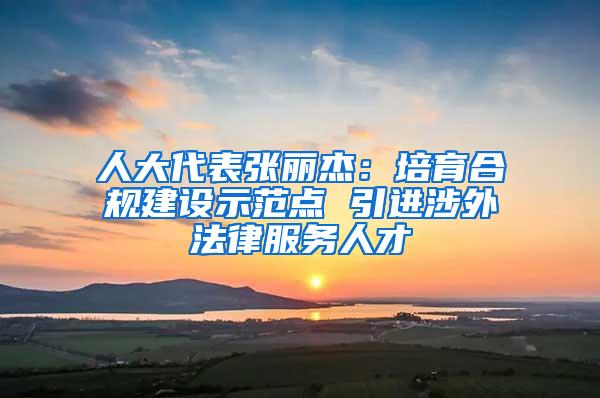 人大代表张丽杰：培育合规建设示范点 引进涉外法律服务人才