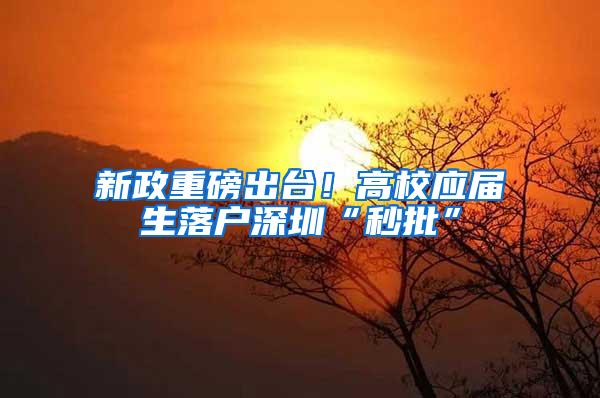 新政重磅出台！高校应届生落户深圳“秒批”