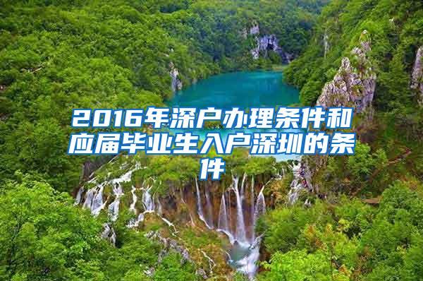 2016年深户办理条件和应届毕业生入户深圳的条件