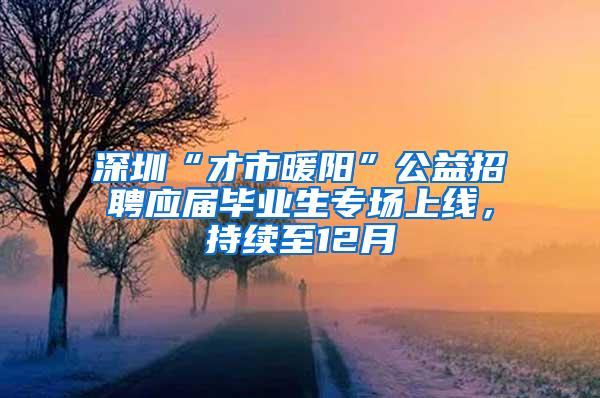 深圳“才市暖阳”公益招聘应届毕业生专场上线，持续至12月