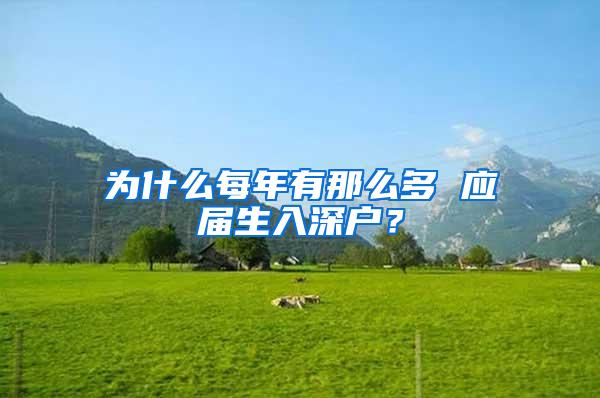 为什么每年有那么多 应届生入深户？