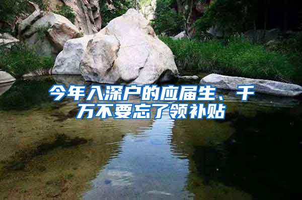 今年入深户的应届生、千万不要忘了领补贴