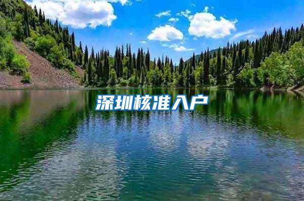 深圳核准入户