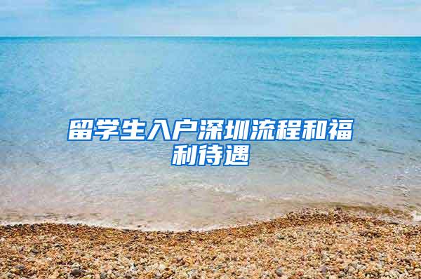 留学生入户深圳流程和福利待遇