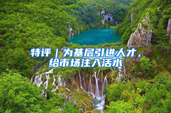 特评｜为基层引进人才，给市场注入活水