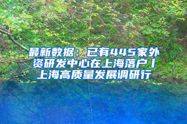最新数据：已有445家外资研发中心在上海落户丨上海高质量发展调研行