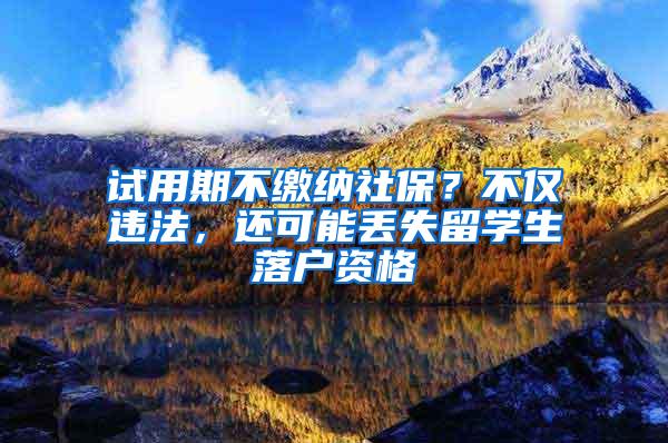 试用期不缴纳社保？不仅违法，还可能丢失留学生落户资格