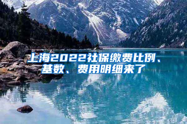 上海2022社保缴费比例、基数、费用明细来了