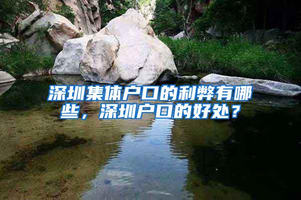 深圳集体户口的利弊有哪些，深圳户口的好处？