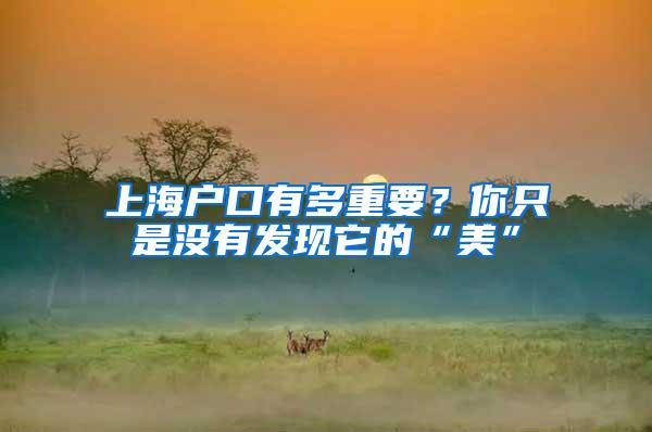 上海户口有多重要？你只是没有发现它的“美”