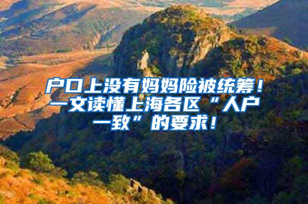 户口上没有妈妈险被统筹！一文读懂上海各区“人户一致”的要求！