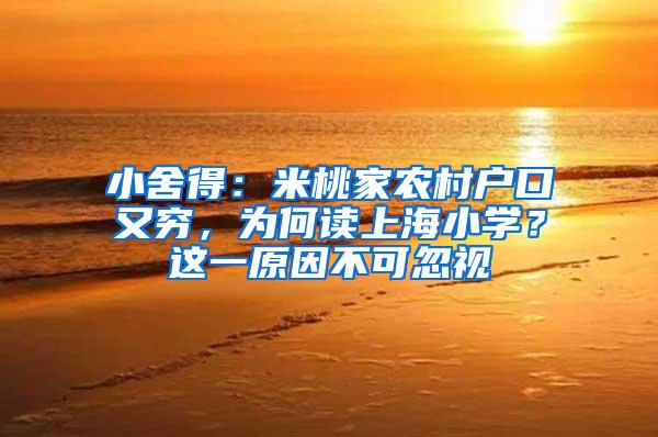 小舍得：米桃家农村户口又穷，为何读上海小学？这一原因不可忽视