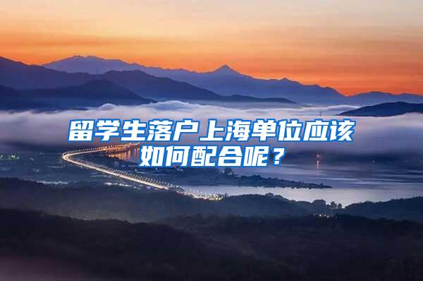 留学生落户上海单位应该如何配合呢？