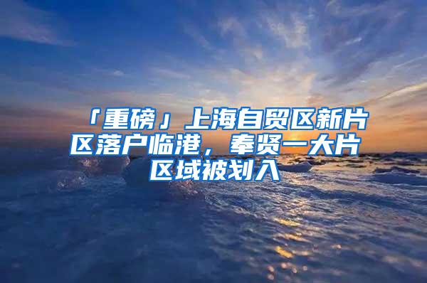 「重磅」上海自贸区新片区落户临港，奉贤一大片区域被划入