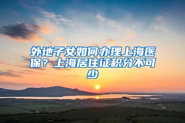 外地子女如何办理上海医保？上海居住证积分不可少