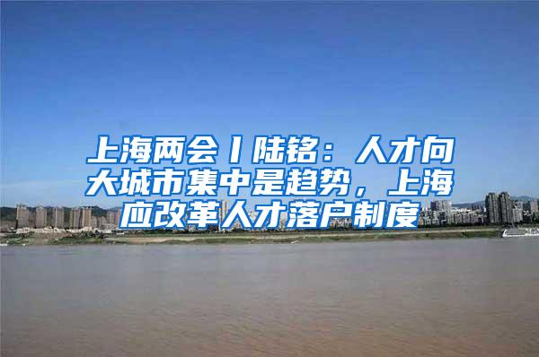 上海两会丨陆铭：人才向大城市集中是趋势，上海应改革人才落户制度