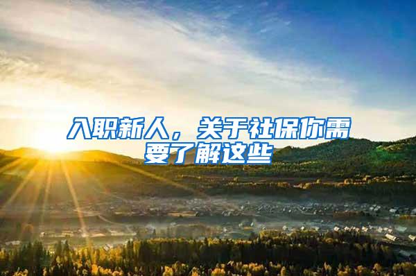 入职新人，关于社保你需要了解这些