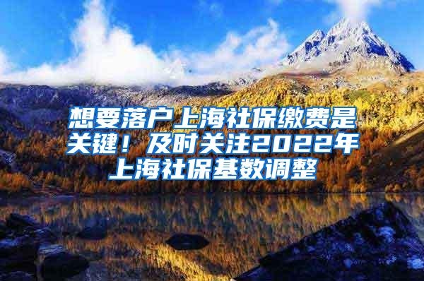 想要落户上海社保缴费是关键！及时关注2022年上海社保基数调整