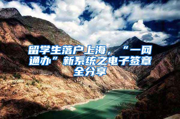 留学生落户上海，“一网通办”新系统之电子签章全分享