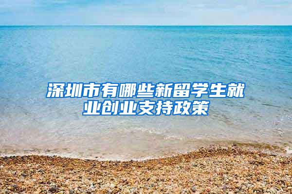 深圳市有哪些新留学生就业创业支持政策