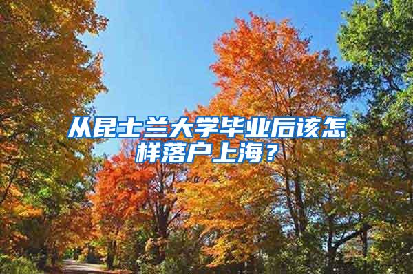 从昆士兰大学毕业后该怎样落户上海？