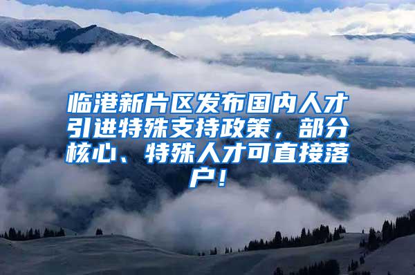临港新片区发布国内人才引进特殊支持政策，部分核心、特殊人才可直接落户！