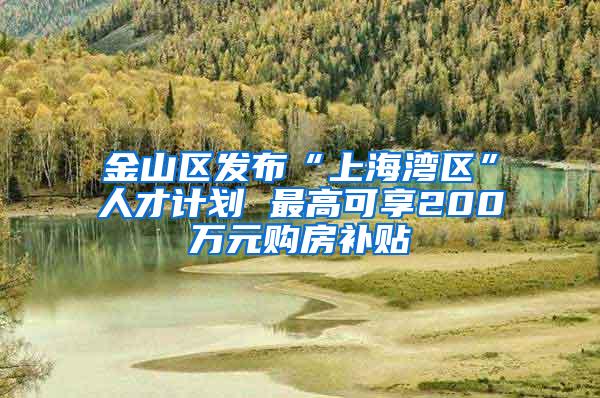 金山区发布“上海湾区”人才计划 最高可享200万元购房补贴