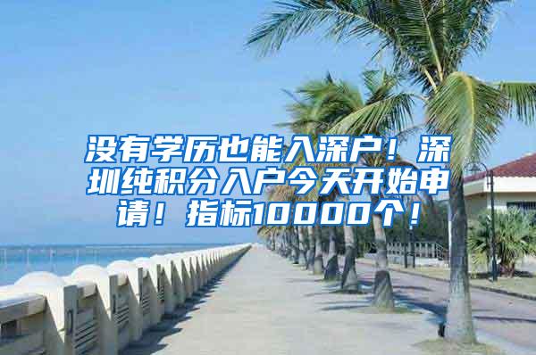 没有学历也能入深户！深圳纯积分入户今天开始申请！指标10000个！