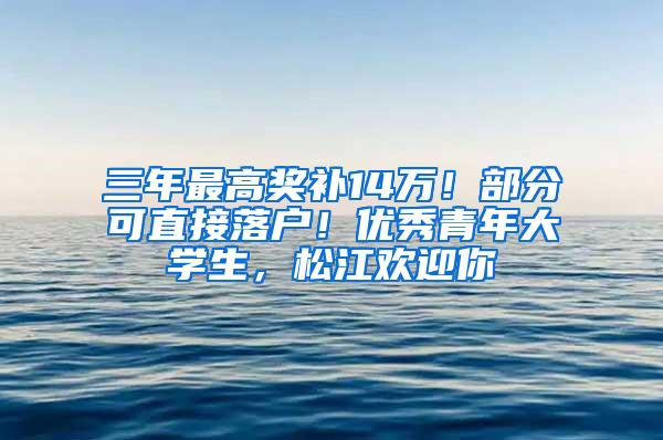 三年最高奖补14万！部分可直接落户！优秀青年大学生，松江欢迎你