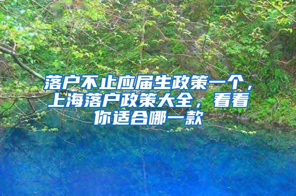 落户不止应届生政策一个，上海落户政策大全，看看你适合哪一款