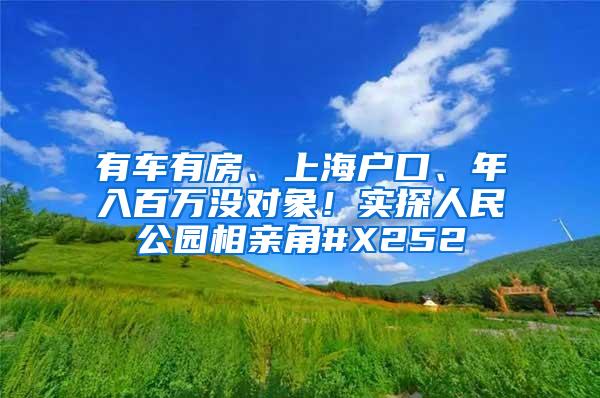 有车有房、上海户口、年入百万没对象！实探人民公园相亲角#X252