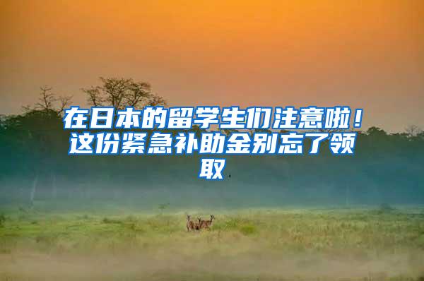 在日本的留学生们注意啦！这份紧急补助金别忘了领取