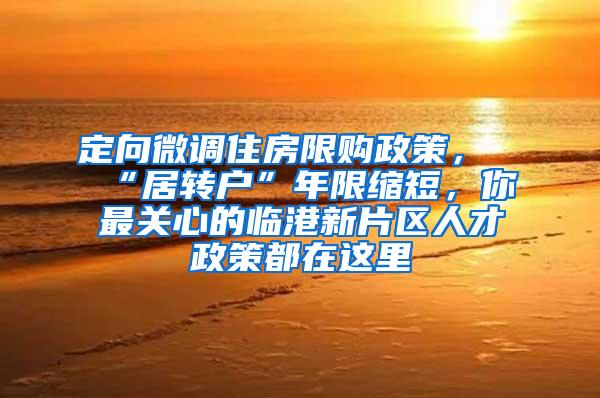 定向微调住房限购政策，“居转户”年限缩短，你最关心的临港新片区人才政策都在这里