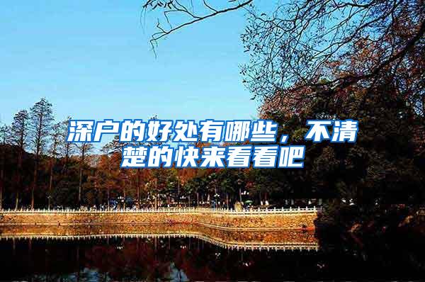 深户的好处有哪些，不清楚的快来看看吧