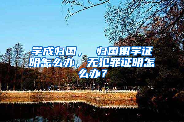学成归国， 归国留学证明怎么办，无犯罪证明怎么办？
