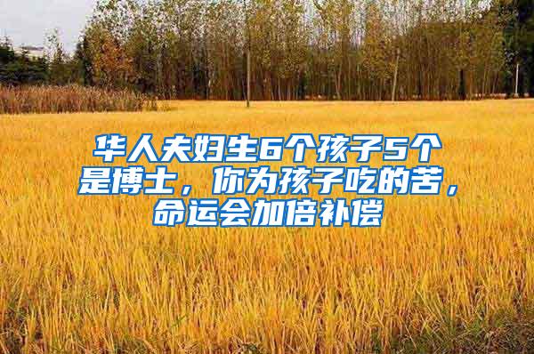 华人夫妇生6个孩子5个是博士，你为孩子吃的苦，命运会加倍补偿