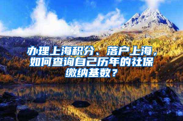 办理上海积分、落户上海，如何查询自己历年的社保缴纳基数？