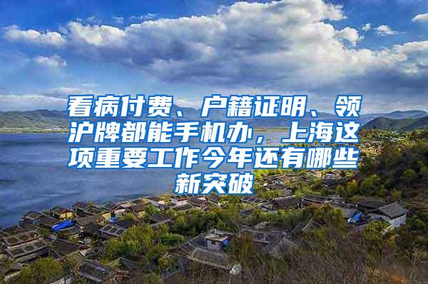 看病付费、户籍证明、领沪牌都能手机办，上海这项重要工作今年还有哪些新突破