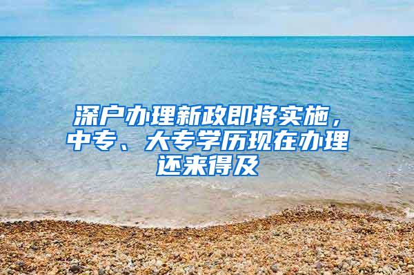 深户办理新政即将实施，中专、大专学历现在办理还来得及