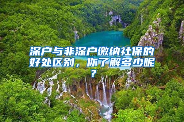 深户与非深户缴纳社保的好处区别，你了解多少呢？